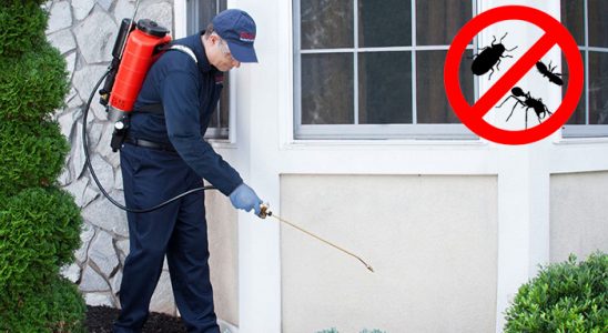 Burdur Böcek İlaçlama böcek ilaçlama ve haşere kontrolü — ilaclama-tr.com